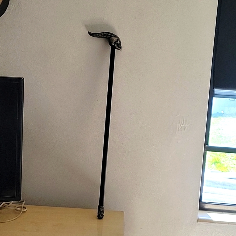 Cane walker
